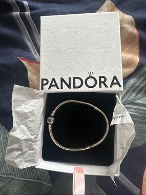 Pandora Sterling Silver Mesh Snake Bracelet